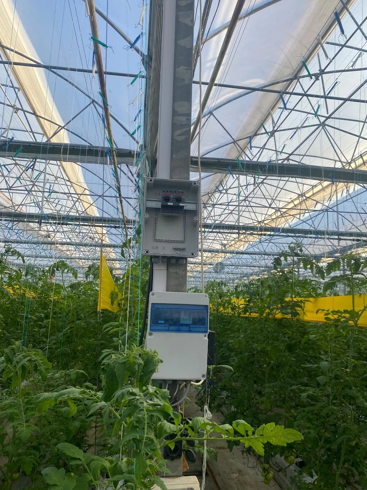 Sera Elektrik Tesisatı